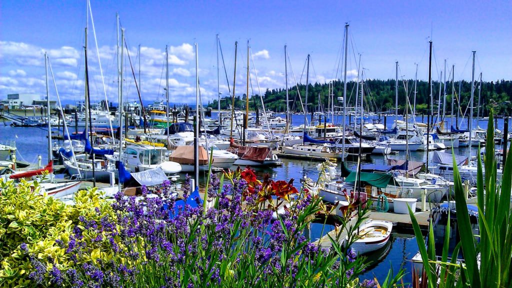 Bainbridge Island Habour Marina with small boats and yatchs.